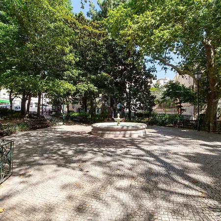 Cantinho Lusitano In Principe Real Lissabon